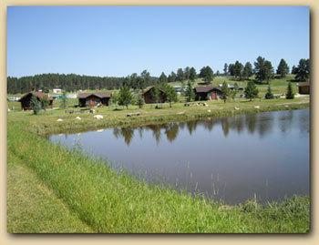 Gold Camp Cabins Custer Bagian luar foto