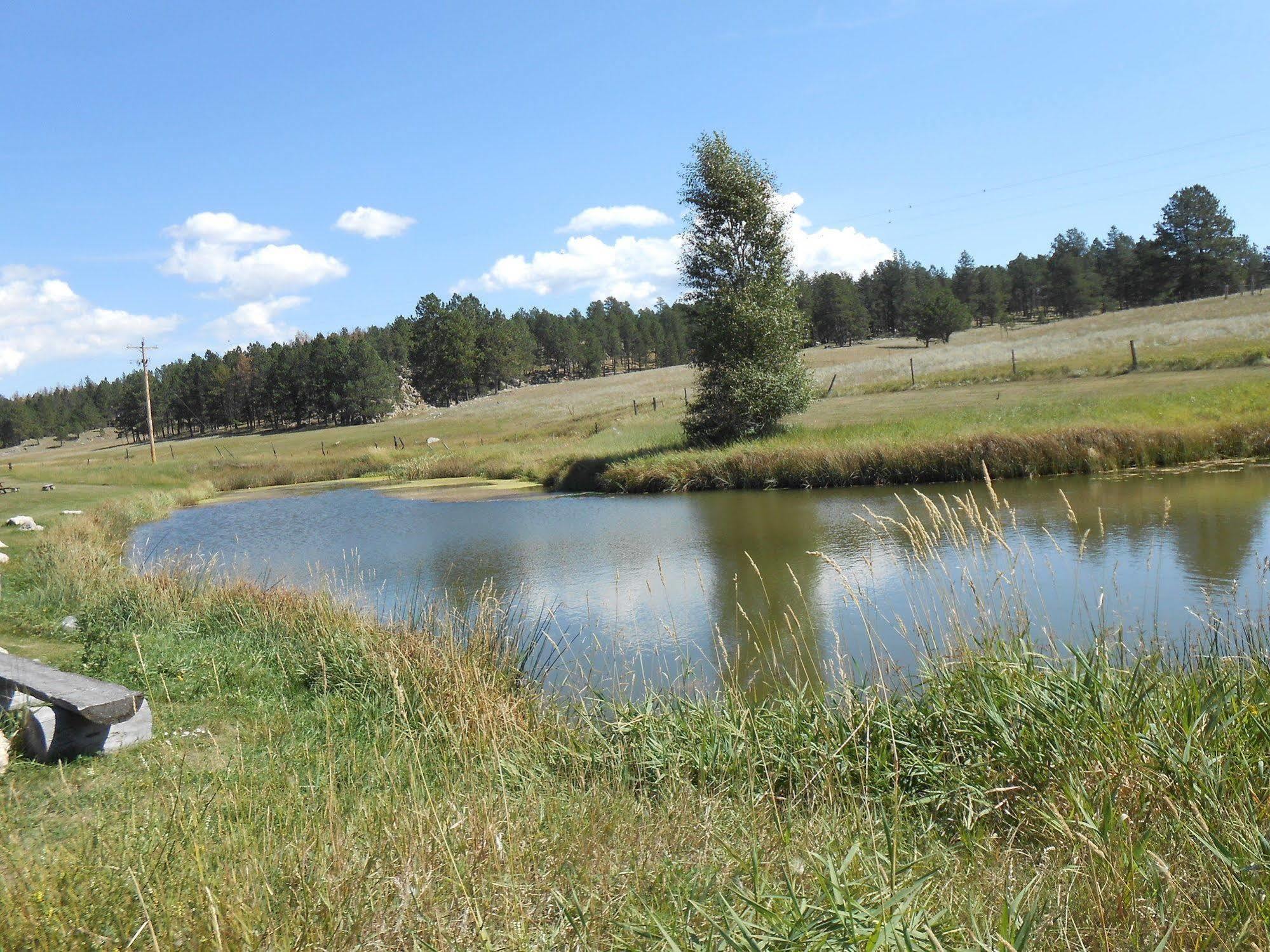 Gold Camp Cabins Custer Bagian luar foto